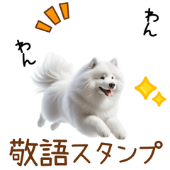 [LINEスタンプ] 敬語のサモエドスタンプ