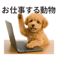 [LINEスタンプ] 【敬語】働く動物たち