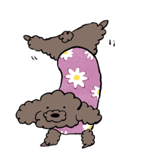 [LINEスタンプ] といぷーどるのぼた