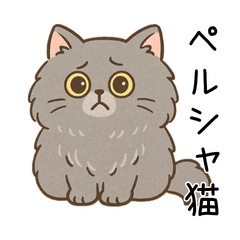 [LINEスタンプ] ペルシャ猫のクセつよスタンプ