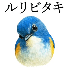 [LINEスタンプ] トリのおしゃべり7 - ルリビタキ