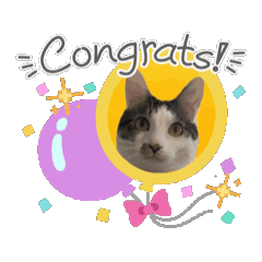 [LINEスタンプ] Maru's1008
