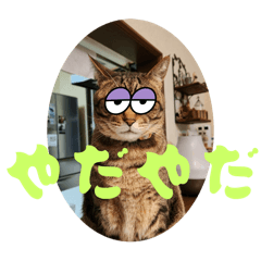[LINEスタンプ] めいが大量