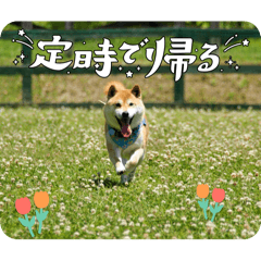 [LINEスタンプ] らきみん