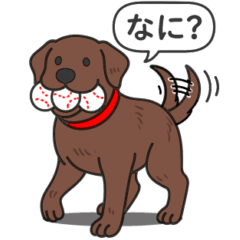[LINEスタンプ] ラブラドールレトリバー(チョコレート)
