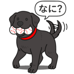 [LINEスタンプ] ラブラドールレトリバー (ブラック)
