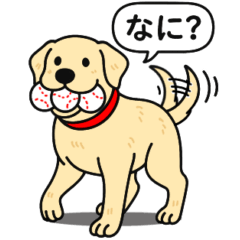 [LINEスタンプ] ラブラドールレトリバー (イエロー)