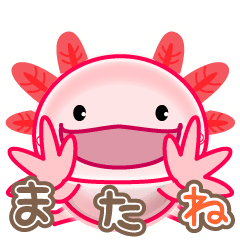 [LINEスタンプ] 動く【ウーパールーパー】 Byよっさん