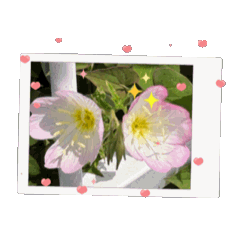 [LINEスタンプ] お花たちの街