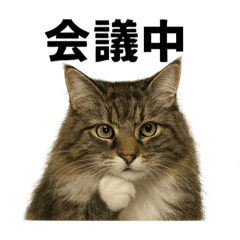 [LINEスタンプ] ノルウェージャンフォレストキャットお仕事