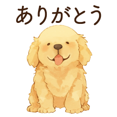 [LINEスタンプ] かまってちゃん犬スタンプ（よく使う言葉）