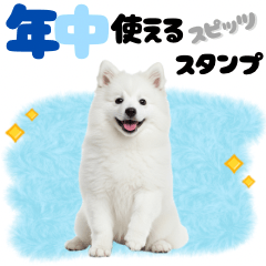[LINEスタンプ] いつでも使える♡日本スピッツ