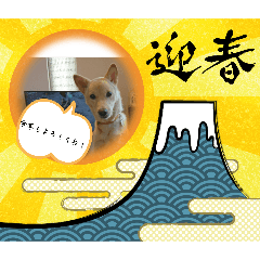 [LINEスタンプ] こむぎのおしょうがつスタンプ