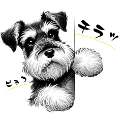 [LINEスタンプ] 毎日犬(シュナウザー②)