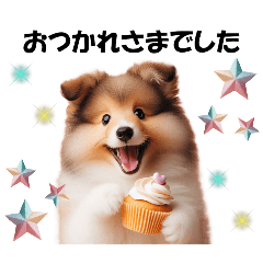 [LINEスタンプ] かわいいシェルティの犬スタンプ