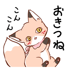 [LINEスタンプ] 可愛いきつねの日常スタンプ♪