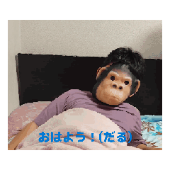 [LINEスタンプ] イキゴリの日常