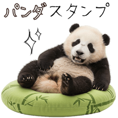 [LINEスタンプ] かわいいパンダ（敬語）
