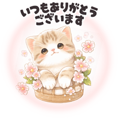 [LINEスタンプ] 飛び出す❤️子猫日和