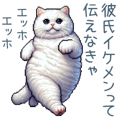 [LINEスタンプ] エッホで伝える彼女ねこ【面白い】