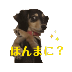 [LINEスタンプ] 広島弁ミニチュアダックスのあんこちゃん