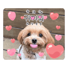 [LINEスタンプ] 犬と子供のスタンプ。