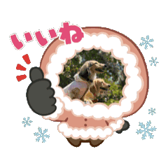[LINEスタンプ] りん⭐︎everyday7