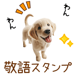 [LINEスタンプ] 敬語のゴールデンレトリバーの子犬スタンプ