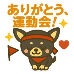 [LINEスタンプ] がんばれ！黒チワワ運動会スタンプ