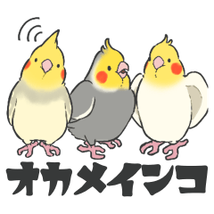 [LINEスタンプ] オカメインコず（もふ増）