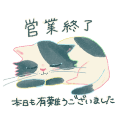 [LINEスタンプ] きゅるりんニャンコの日常