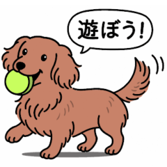 [LINEスタンプ] ミニチュアダックス(ロング＋レッド)