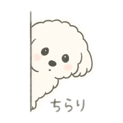 [LINEスタンプ] もふもふプードルくん<WH> と なかまたち