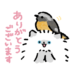 [LINEスタンプ] バードウォッチャーCATS
