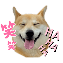[LINEスタンプ] シバーギーの元気くん