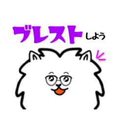 [LINEスタンプ] 意識高い系ポメチワの日常つかえるスタンプ