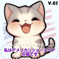 [LINEスタンプ] アメリカンショートヘア - 日常用語（J1）