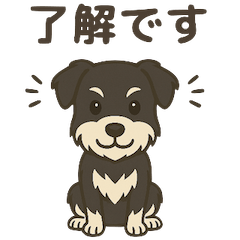 [LINEスタンプ] ミニチュアシュナウザー LUKE