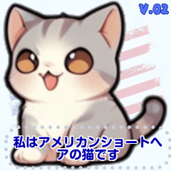[LINEスタンプ] アメリカンショートヘア - 日常用語（J2）