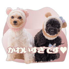 [LINEスタンプ] CONALUA♡Yorkiepoo 2-1