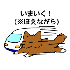 [LINEスタンプ] 白靴下をはいたイッヌ