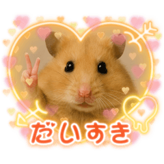 [LINEスタンプ] ハッピーなハムスター達