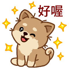 [LINEスタンプ] マランちゃんの毎日が楽しい！ 台湾語
