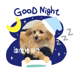 [LINEスタンプ] Chai-gogo