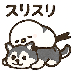 [LINEスタンプ] シマ姫の日常
