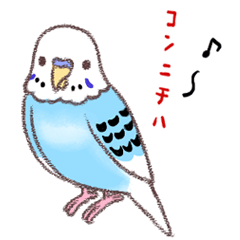 [LINEスタンプ] セキセイインコたちの日々