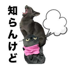 [LINEスタンプ] いっぺーの。