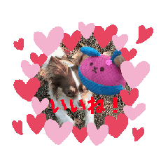 [LINEスタンプ] ちゃちゃちゃんです2