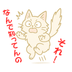 [LINEスタンプ] なんで知ってんのか驚く猫