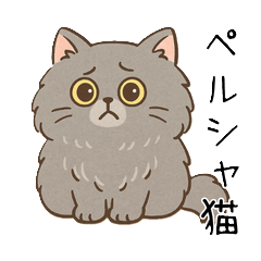 [LINEスタンプ] ペルシャ猫のくせつよスタンプ